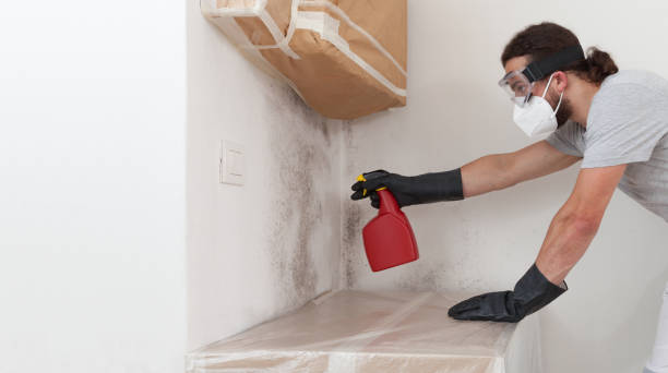 Professional Mold Remediation technician working in Riverside, NY